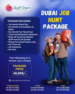Job Hunting Package